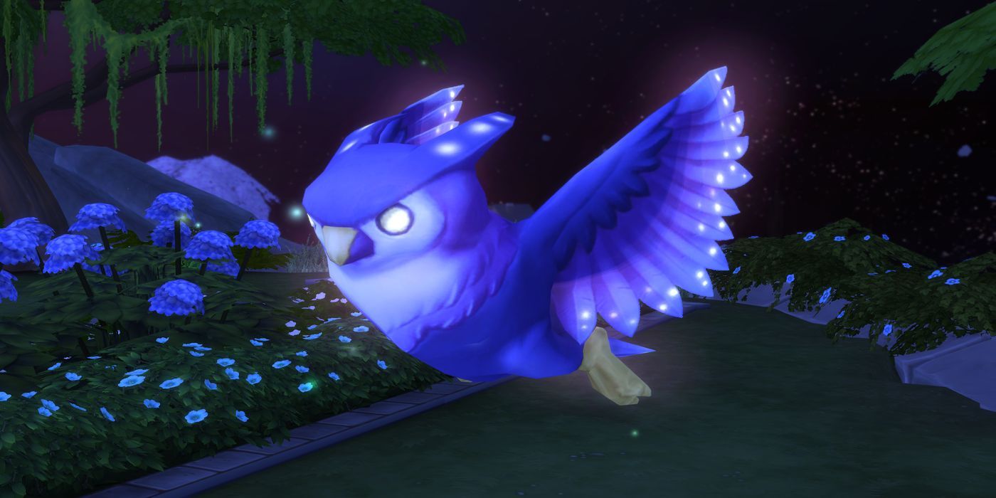 Sims 4 Sixam Owl