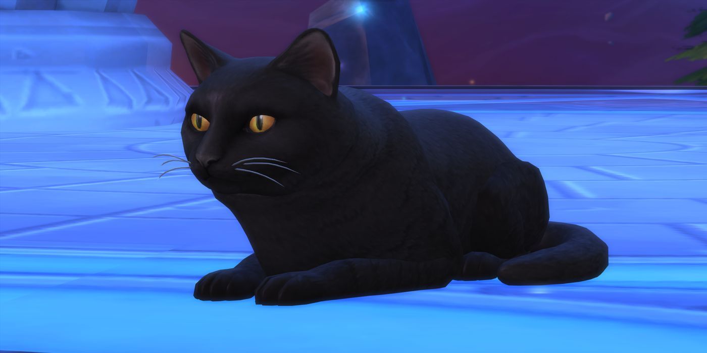 Sims 4 Cat Familiar