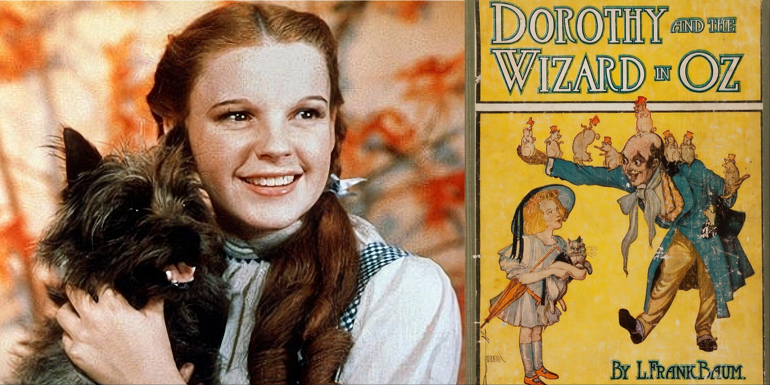 dorothy and the wizard in oz split image