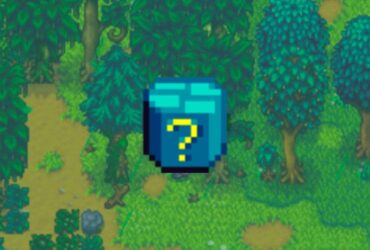 How To Get And Open Mystery Boxes In Stardew Valley.