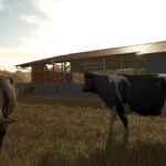 How To Care For, Feed, And Breed Cattle In Farming Simulator 25