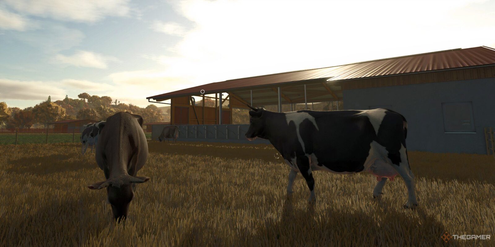 How To Care For, Feed, And Breed Cattle In Farming Simulator 25