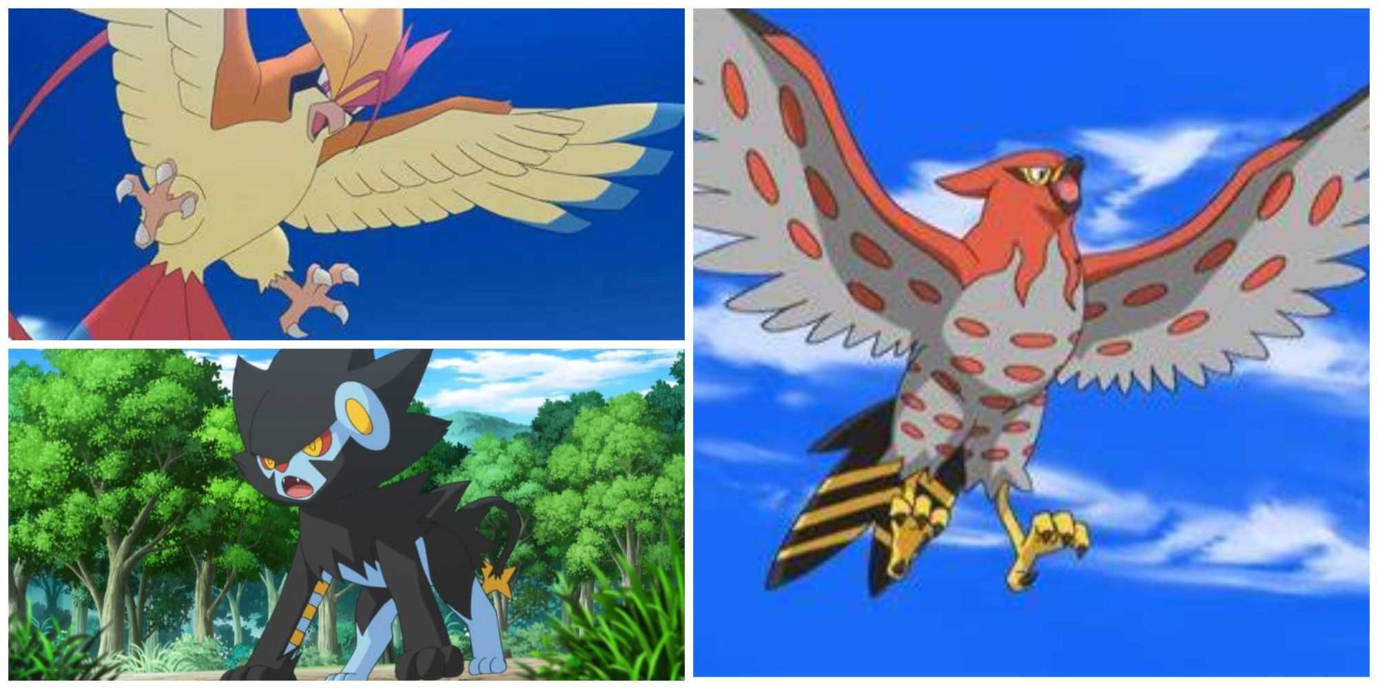 Pokemon Mega Pidgeot, Luxray, Talonflame