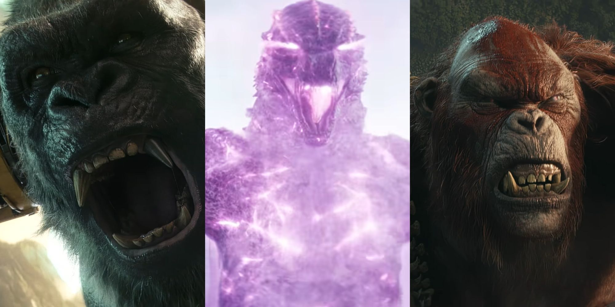 A collage of some of the most prominent kaiju that appear in Godzilla x Kong: King Kong, Evolved Godzilla and Skar King.