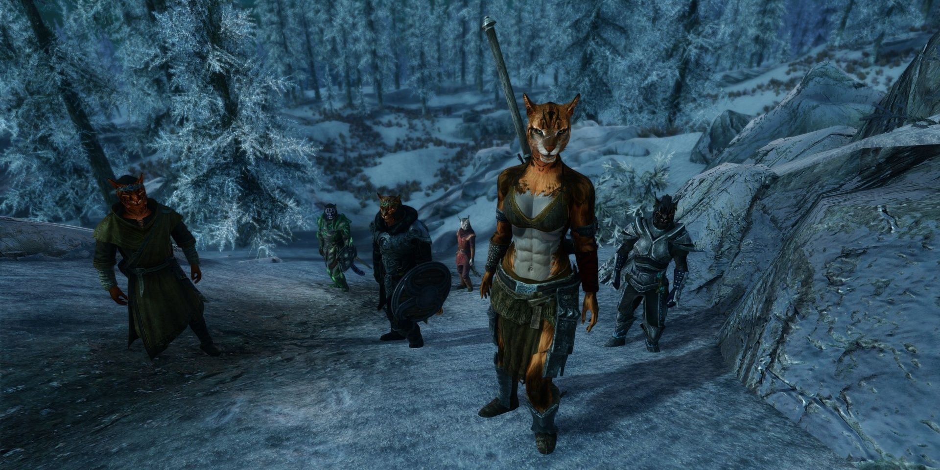 Khajiit Will Follow Companions Mod From Skyrim