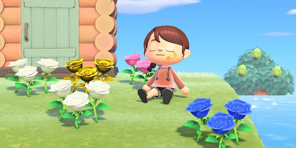 A villager sitting with white, blue, pink, and gold roses.