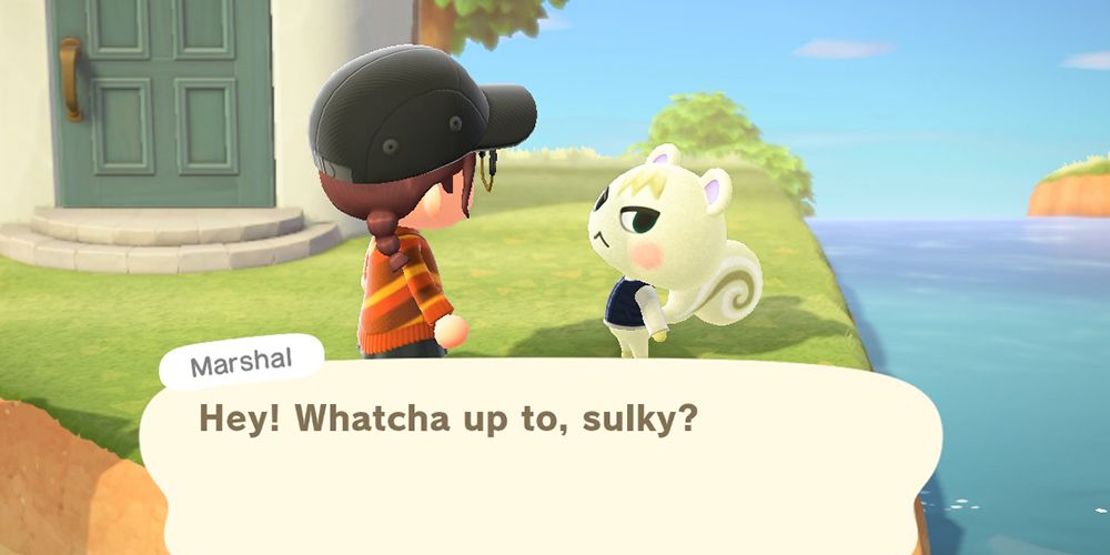 A villager chatting with Marshal.