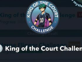 How to Complete the King of the Court Challenge