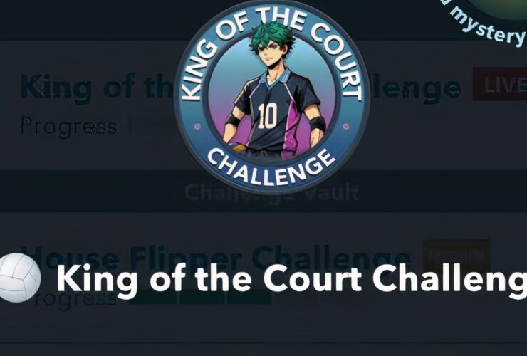 How to Complete the King of the Court Challenge