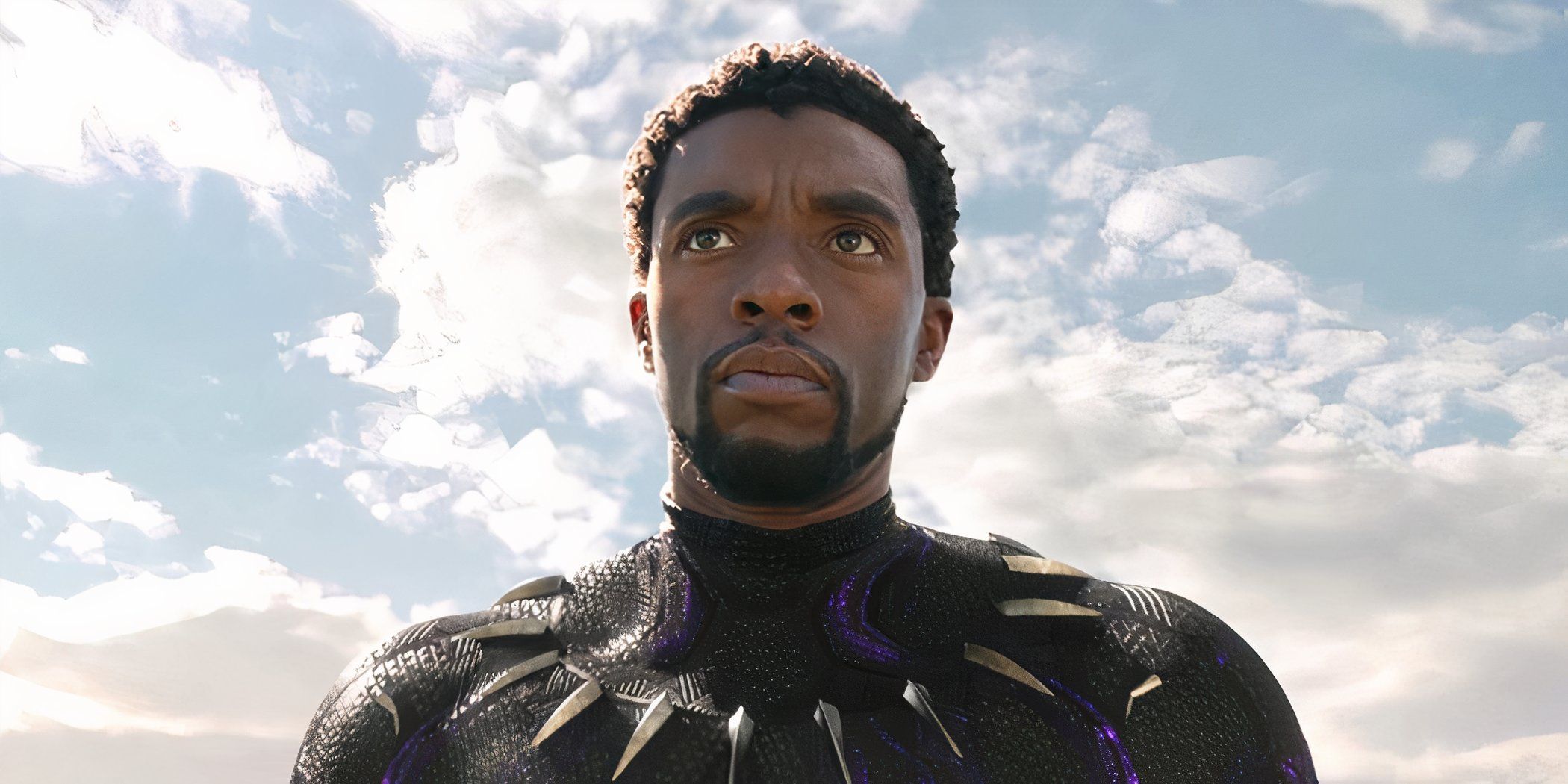 T'Challa in Black Panther 