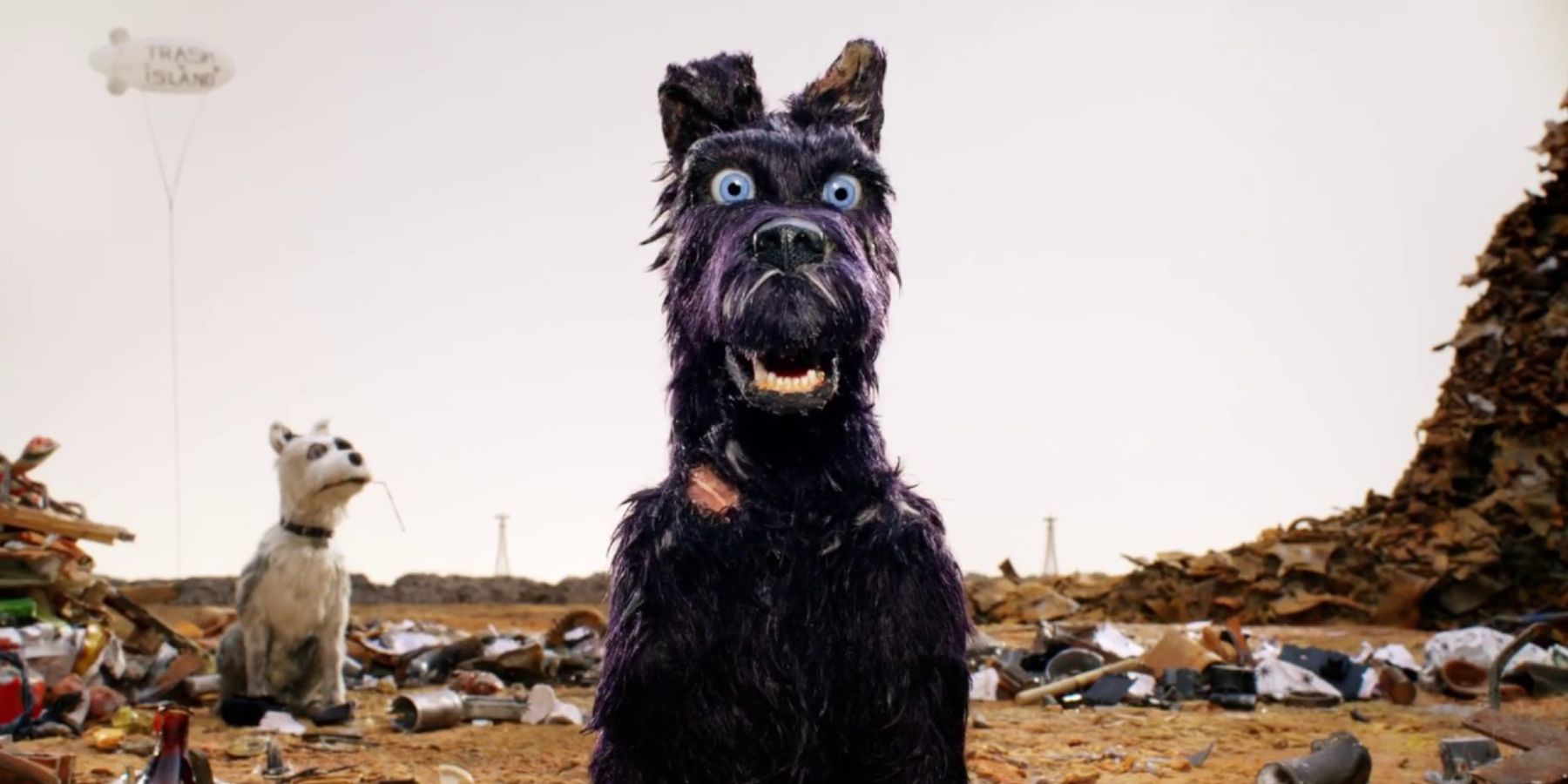 Chief in Isle of Dogs