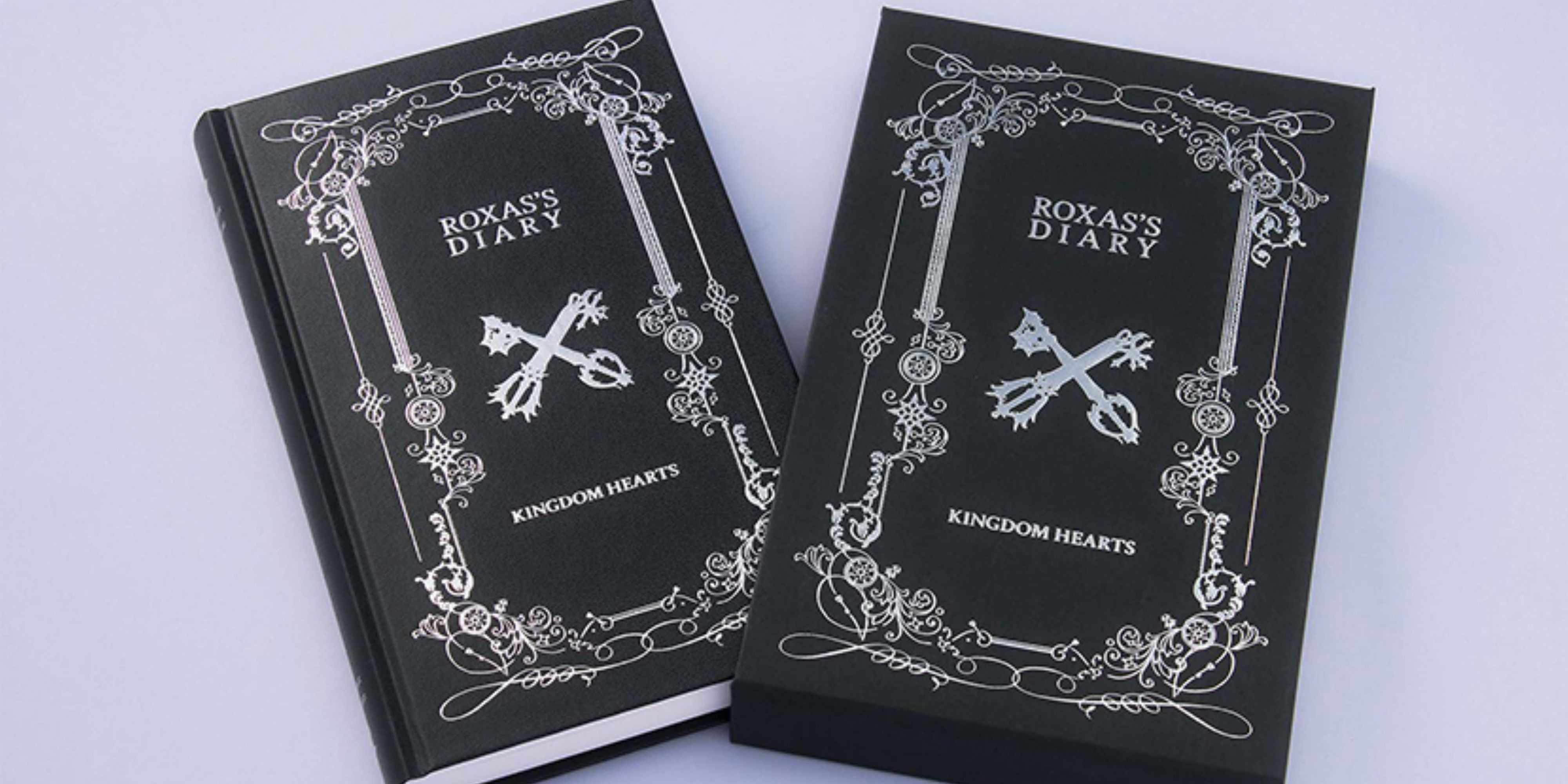 roxas's diary from kingdom hearts 358/2 days.