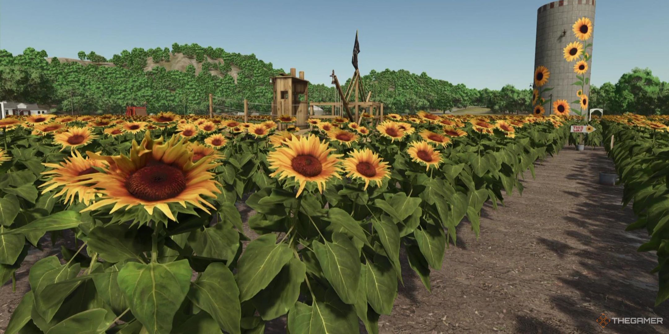 A field of sunflowers spread across both sides of the screen, with a decorated silo in the distance, in Farming Simulator 25.