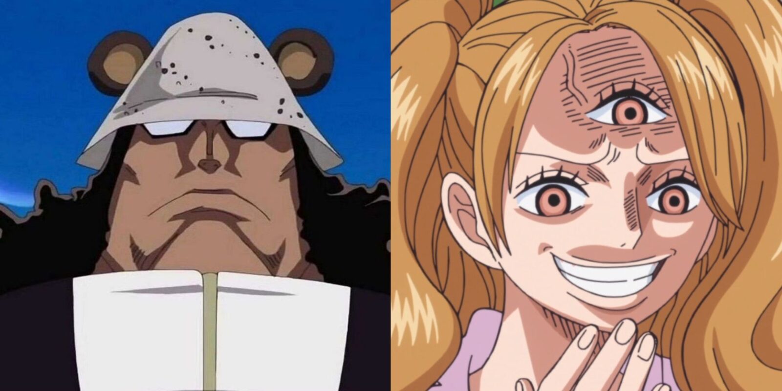 Obscure Species In One Piece