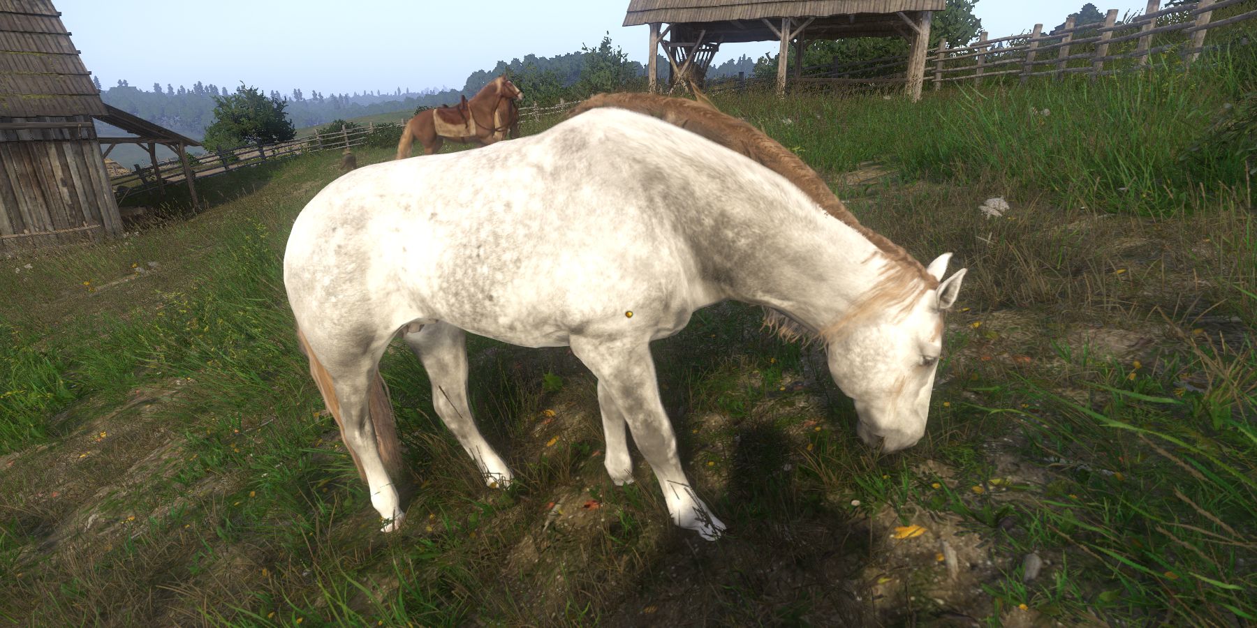 Kanthaka horse mount in Kingdom Come: Deliverance