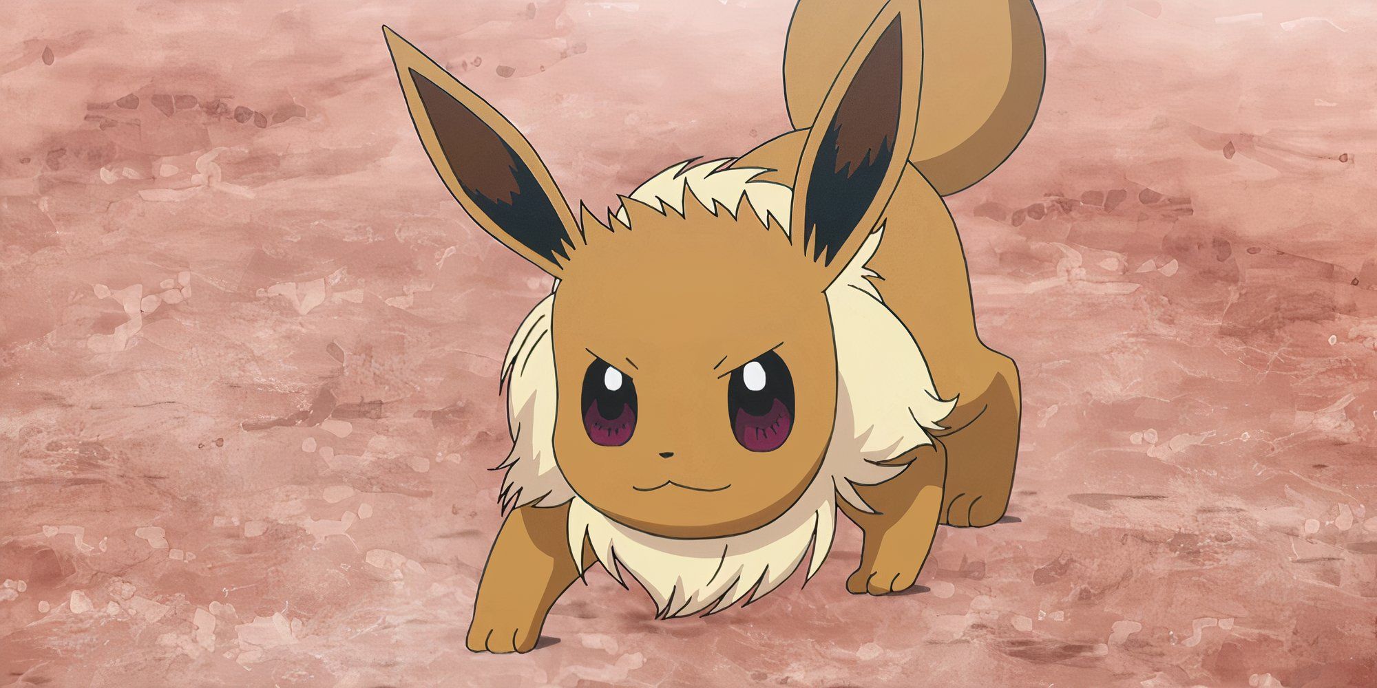 Eevee In The Pokemon Anime