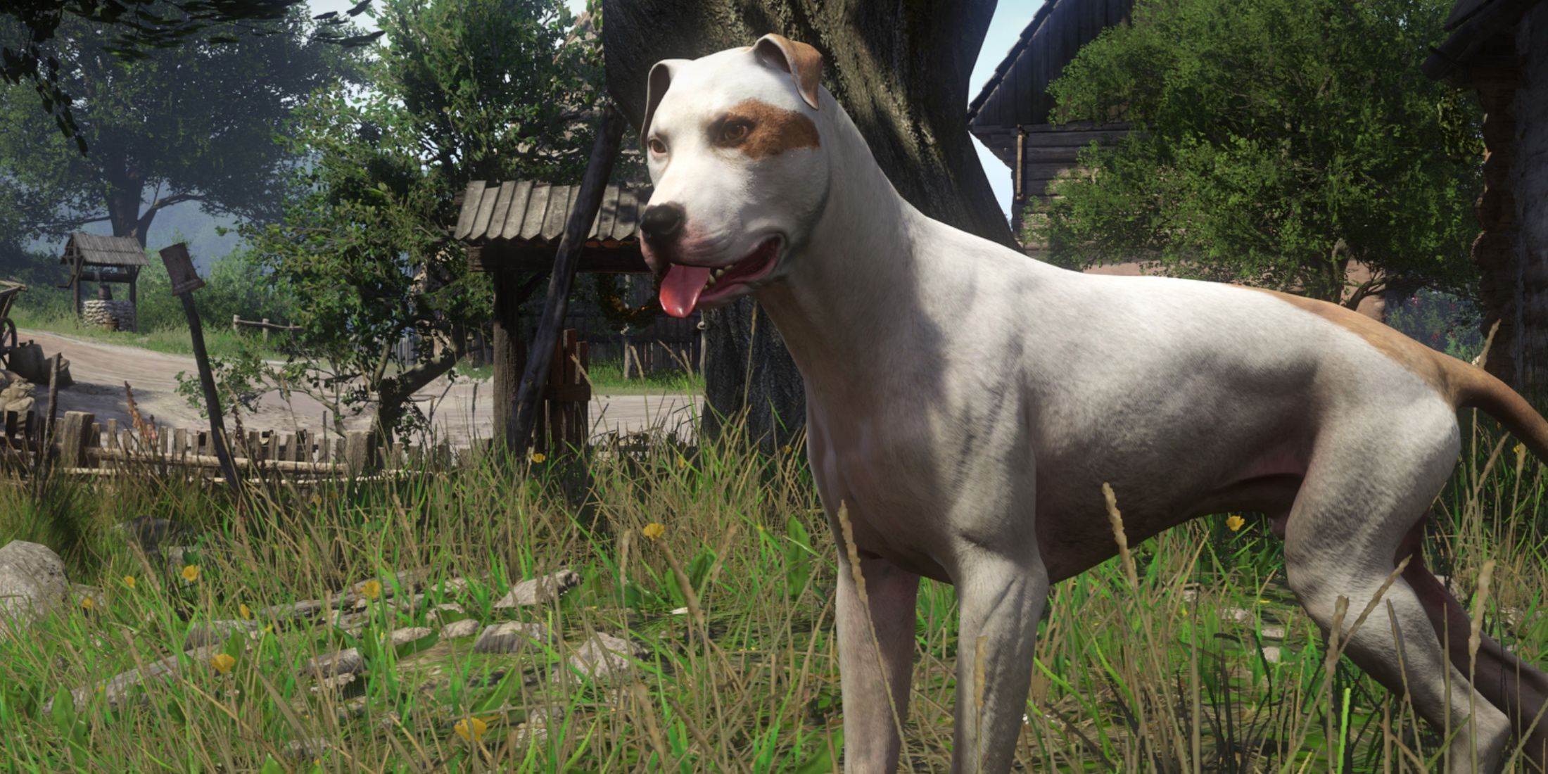 Dog in Kingdom Come Deliverance