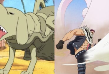 Weirdest Weapons In One Piece