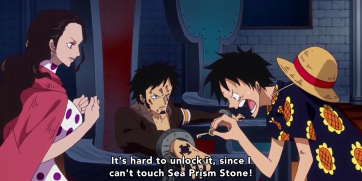 Luffy and Law