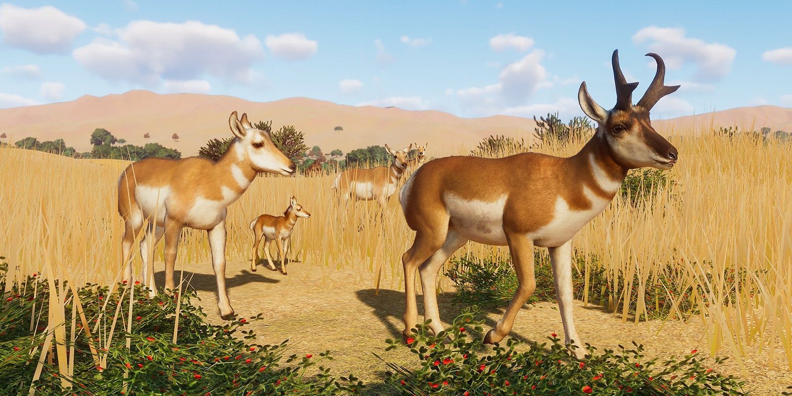 Planet Zoo Pronghorn Antelope