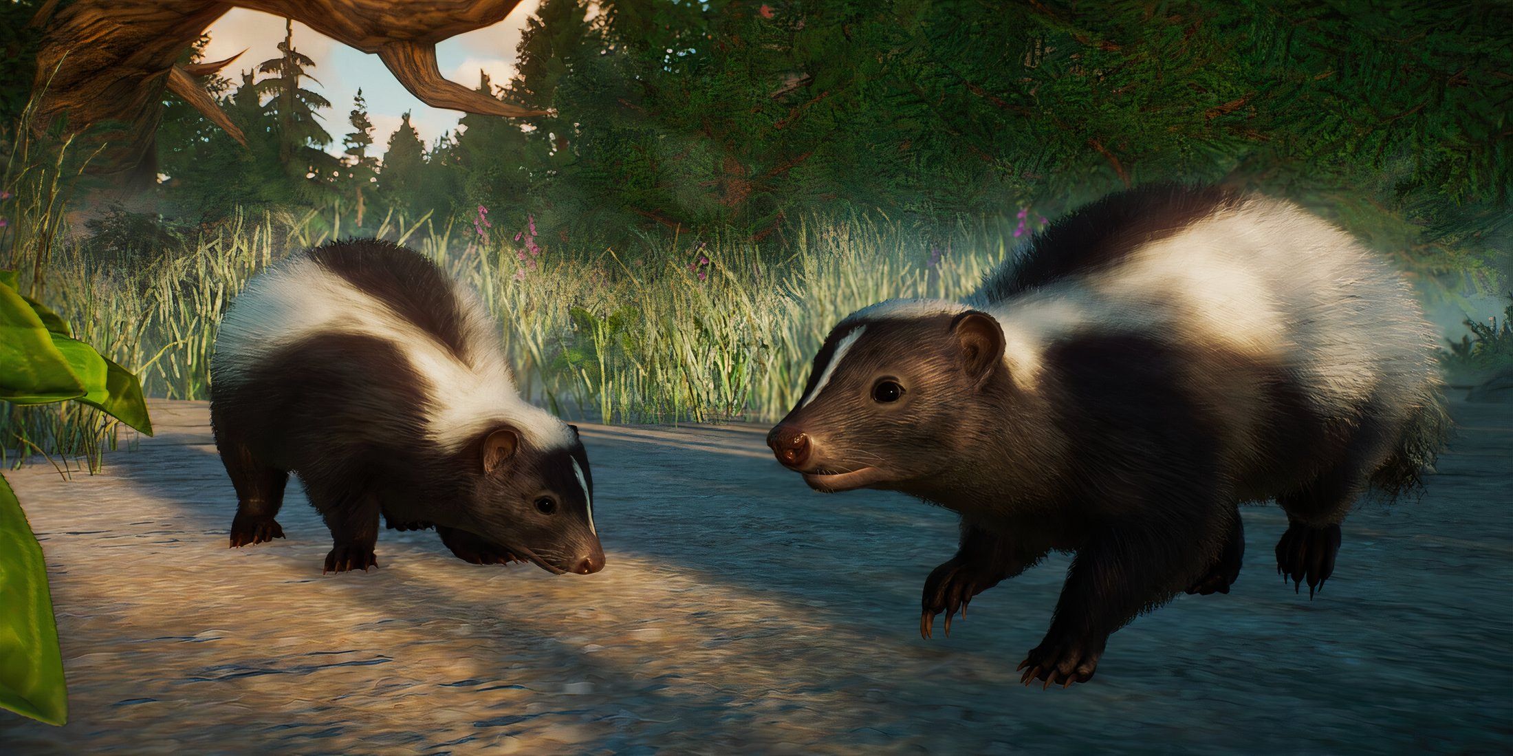 Planet Zoo Skunk