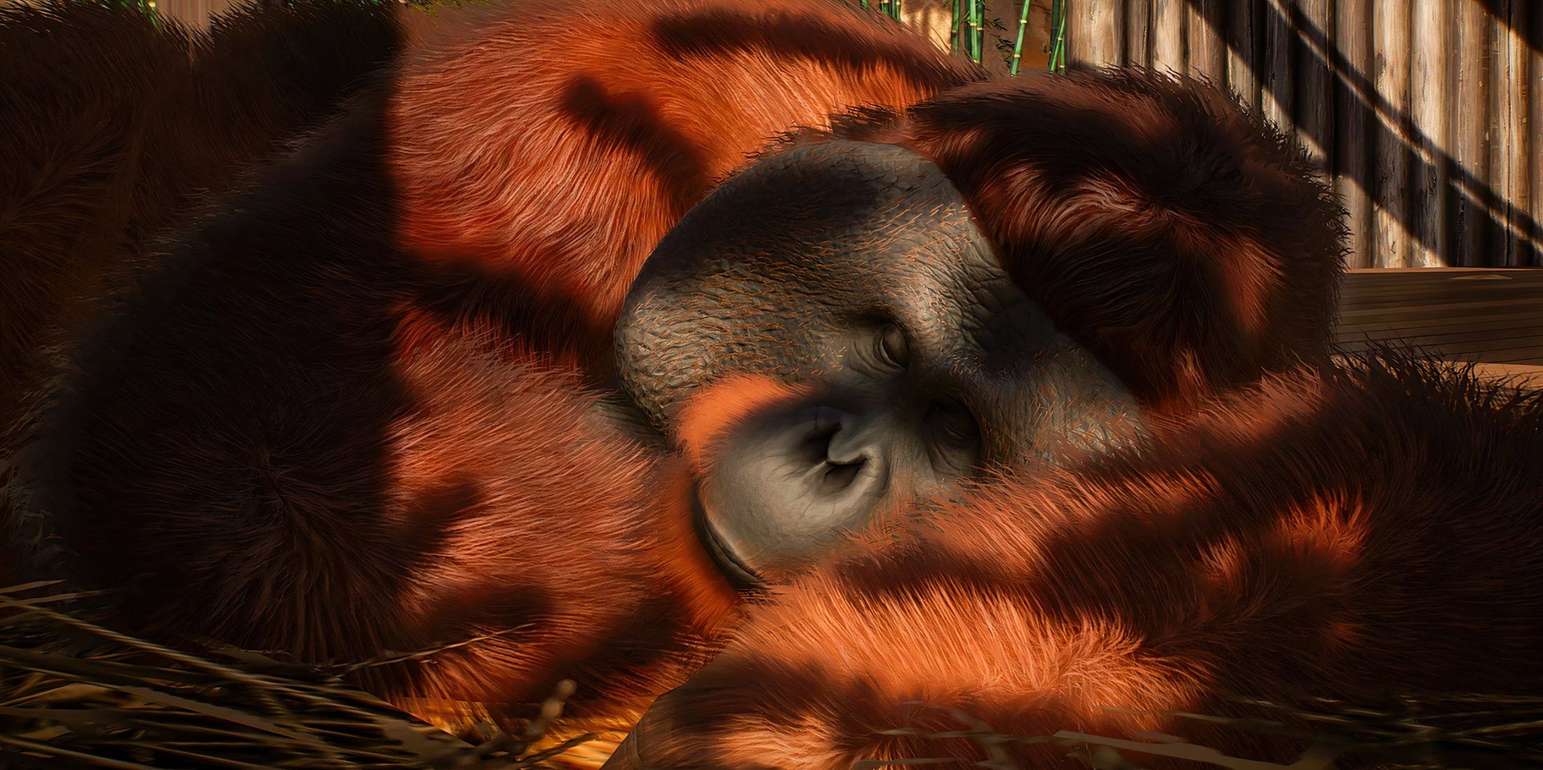 Planet Zoo Bornean Orangutan