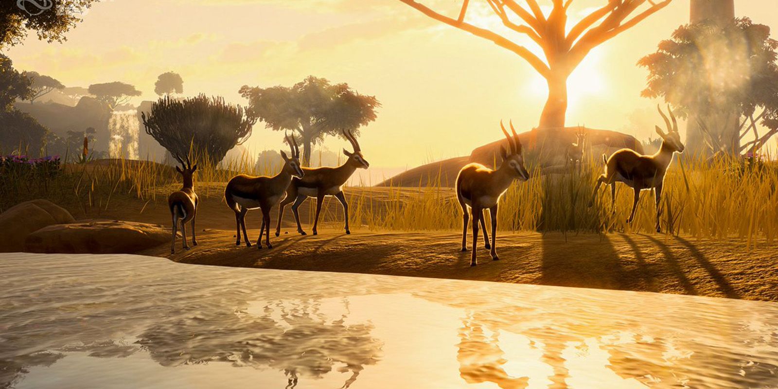 Planet Zoo Thomson's Gazelle