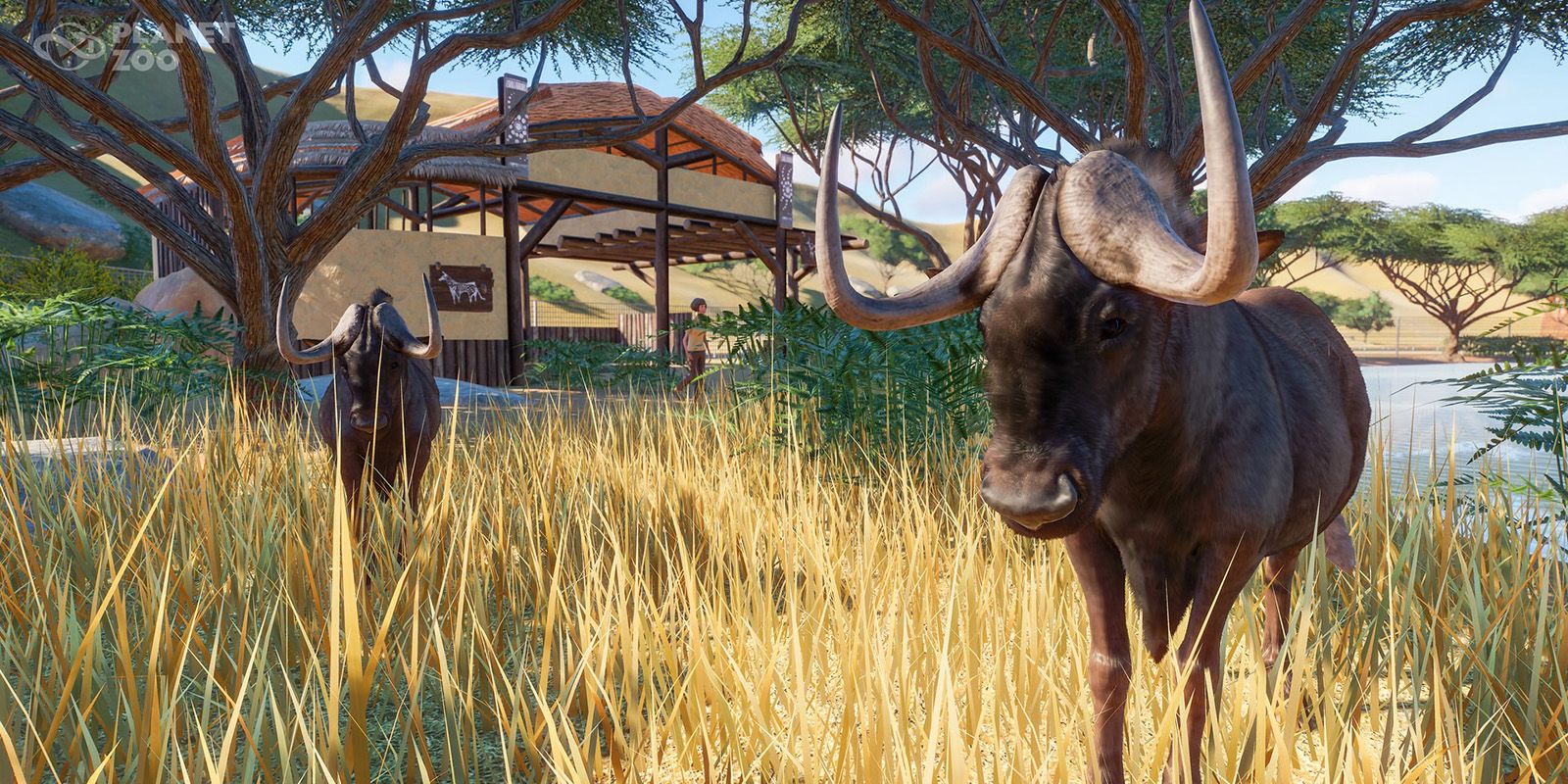 Planet Zoo Black Wildebeest