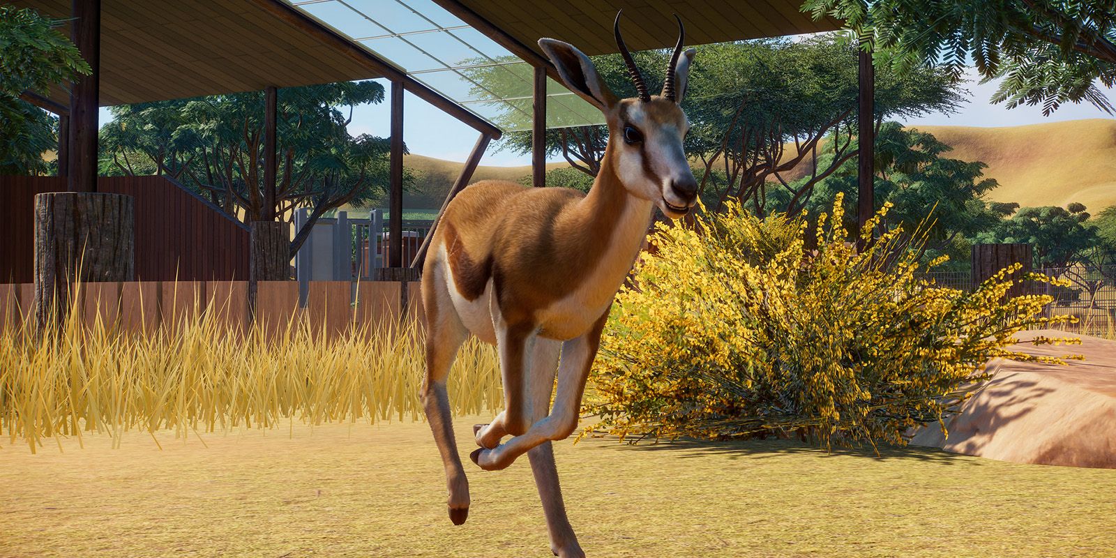 Planet Zoo Springbok