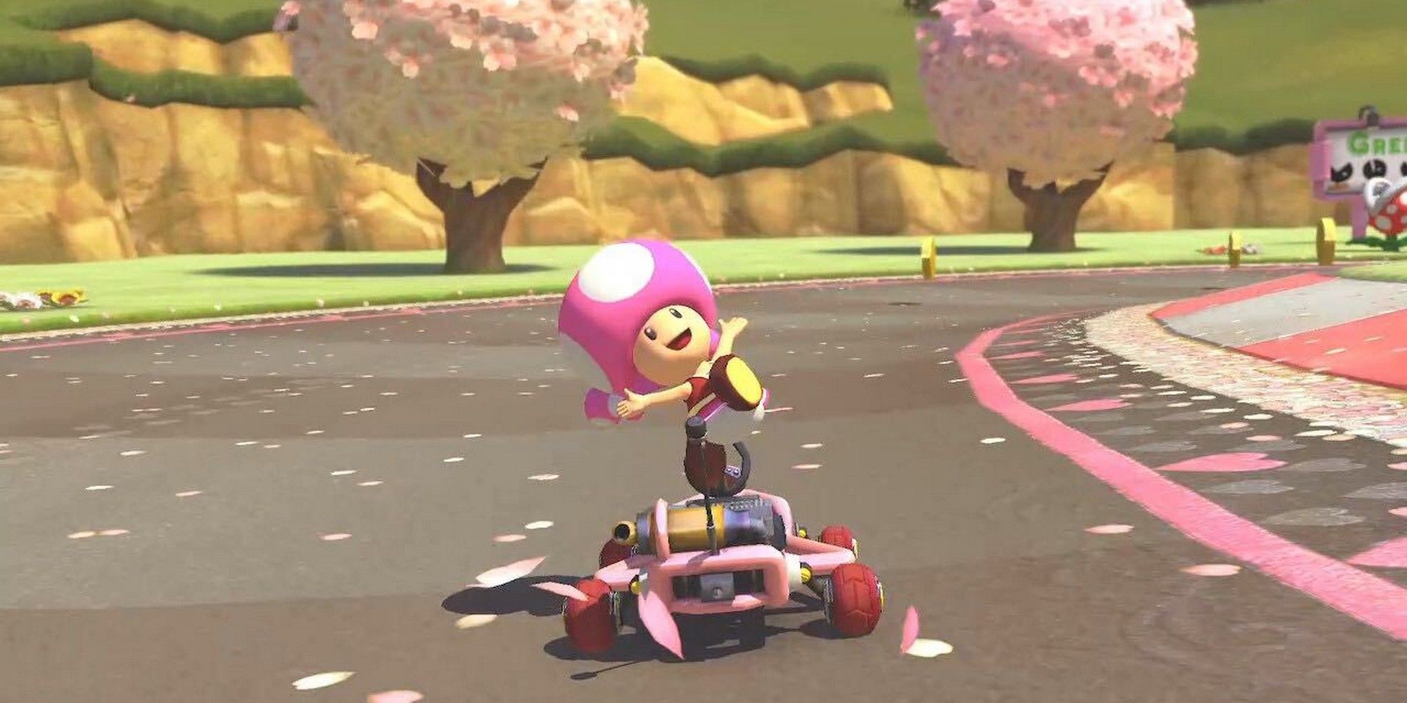 Toadette on a pipe frame kart in Mario Kart 8. 