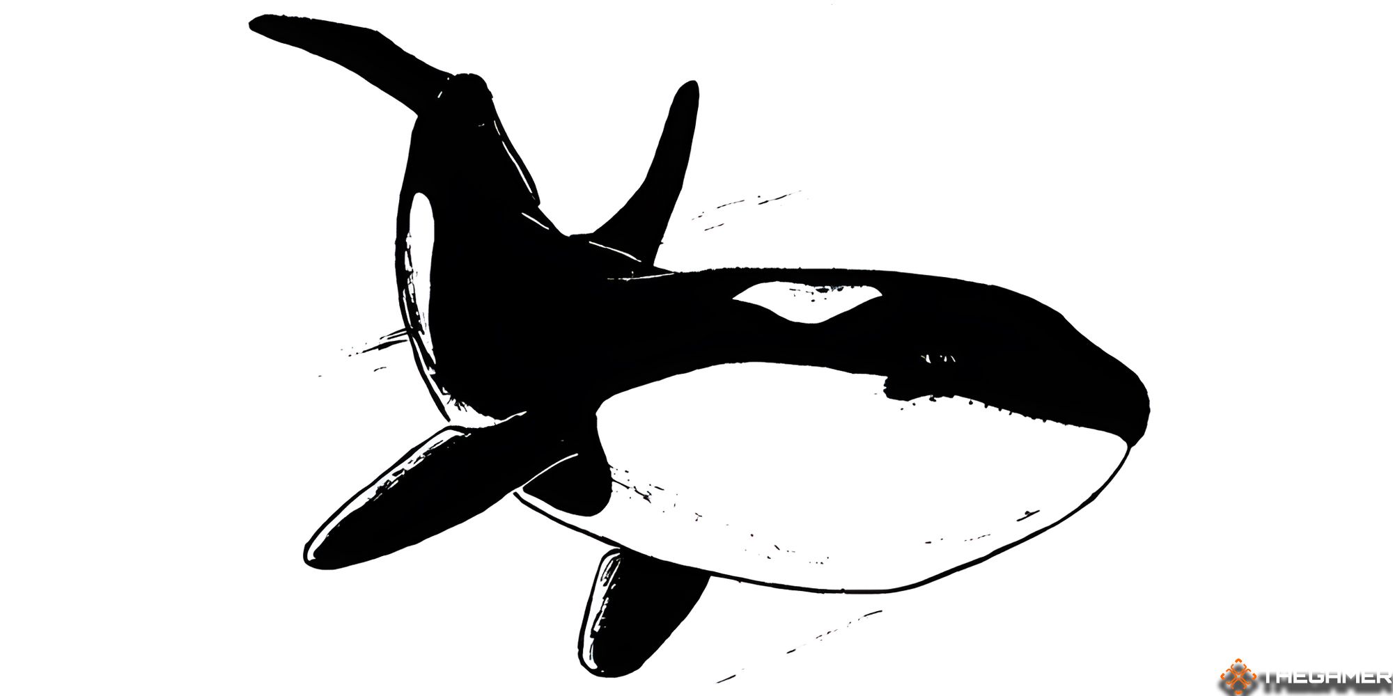 A killer whale from D&D