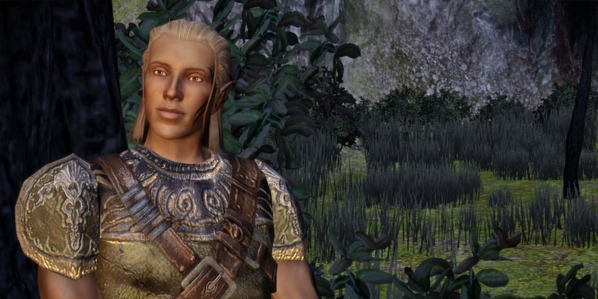 Dragon Age Best Companions Zevran Aranai.