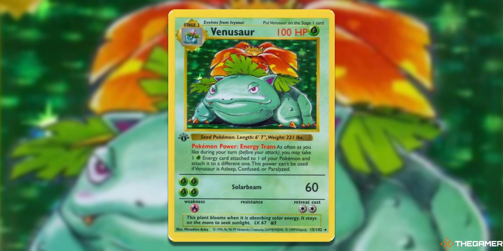 Base Set Shadowless Venusaur from the Pokemon TCG with blurred background