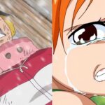 Luffy Is Going to Die Young