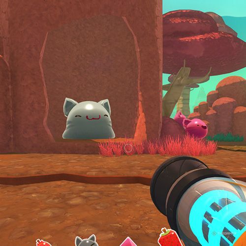 The player is looking at a Tabby Gordo in one of the Dry Reef's caves in Slime Rancher