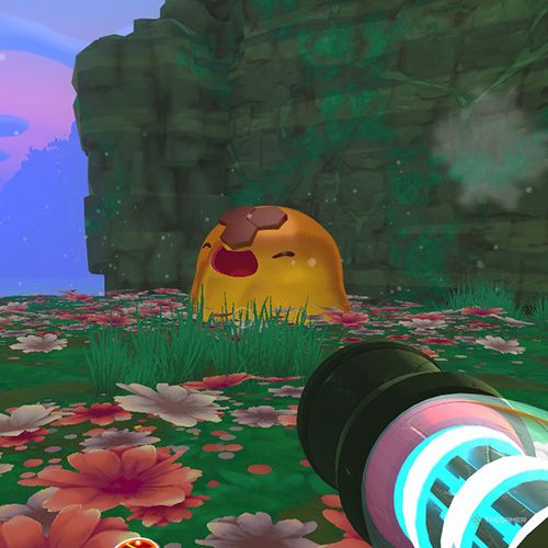 The player is looking at a Honey Gordo which is located on the Moss Blanket in Slime Rancher