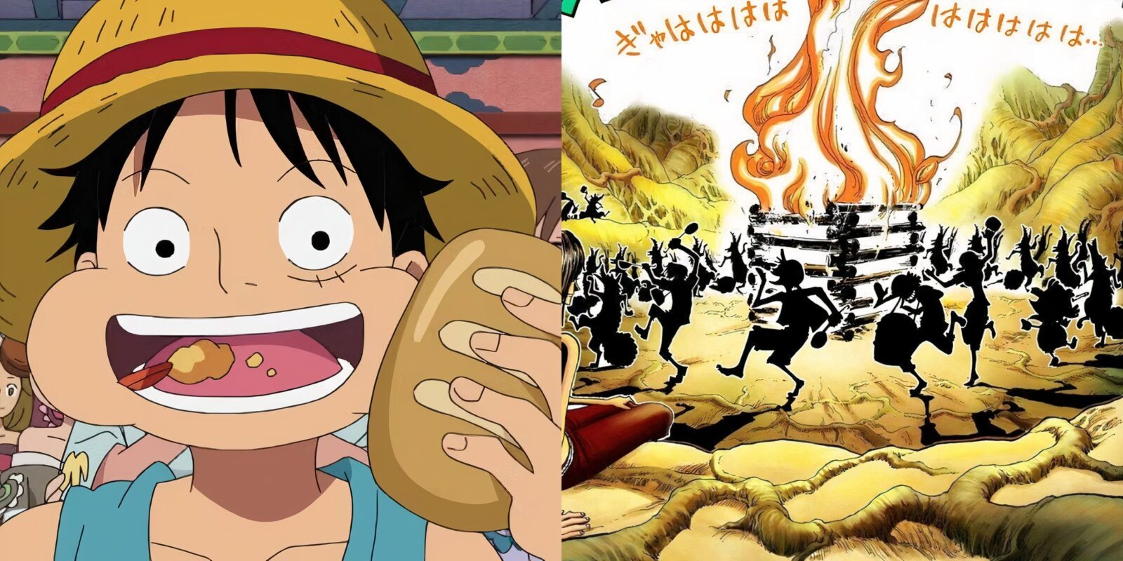 The One Piece Is A Feast