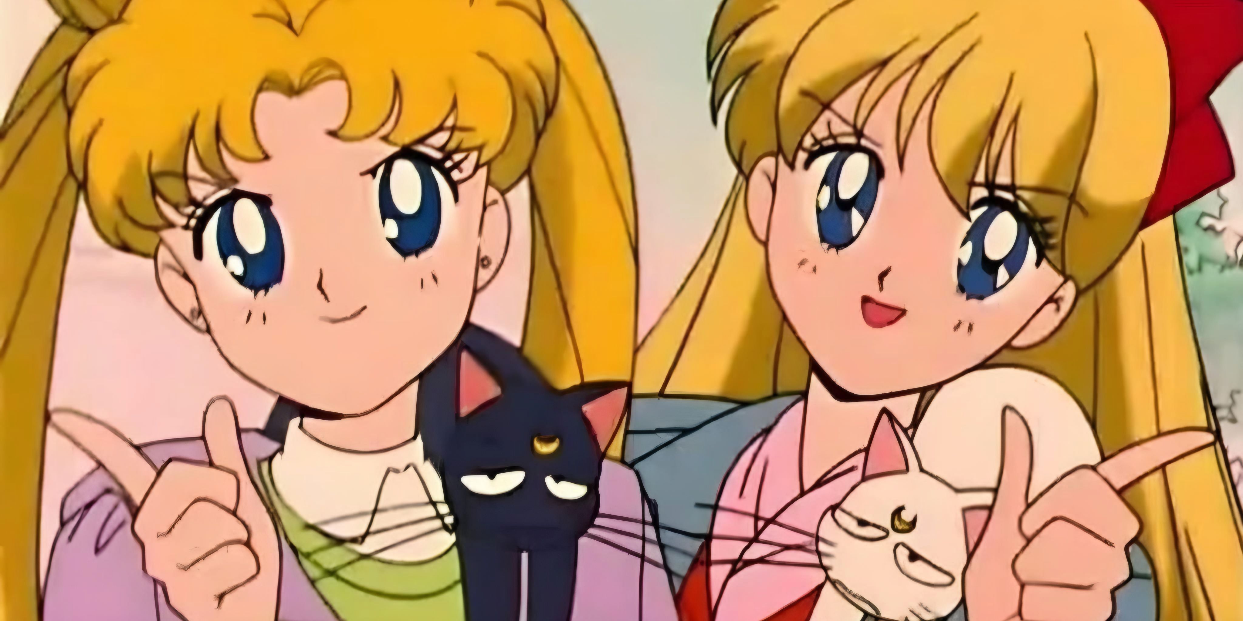 Sailor moon and sailor venus