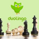 Leak Suggests Duolingo Might Soon Give Chess Lessons