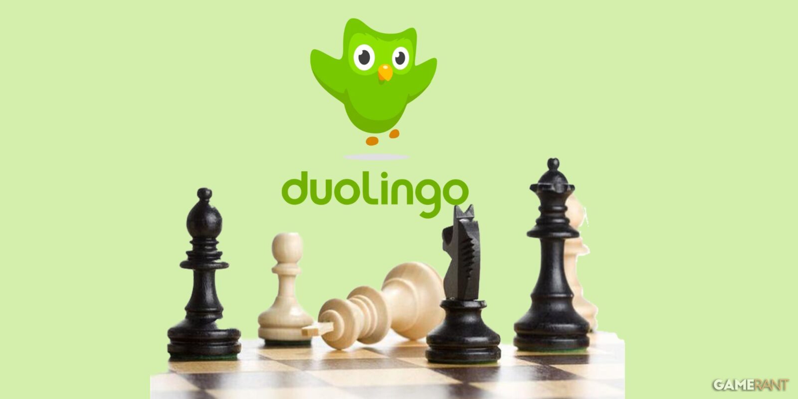 Leak Suggests Duolingo Might Soon Give Chess Lessons