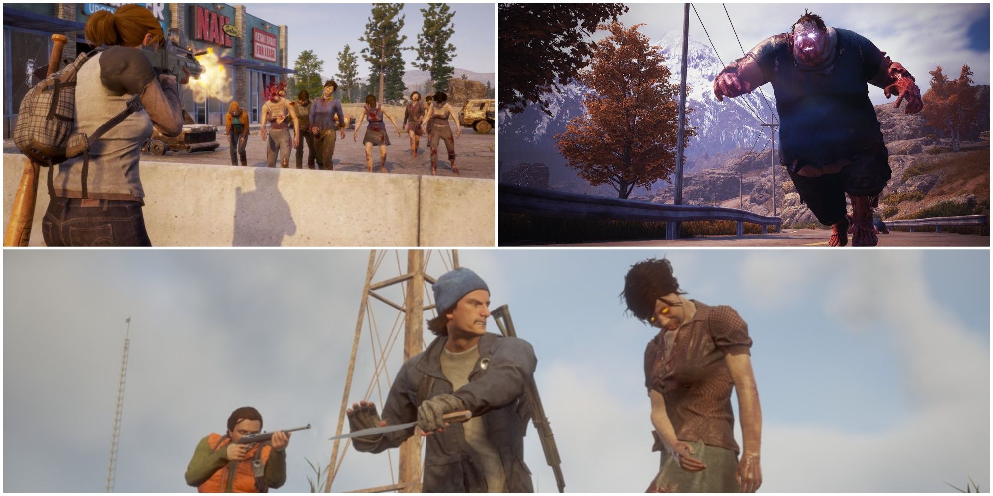 State of Decay 2