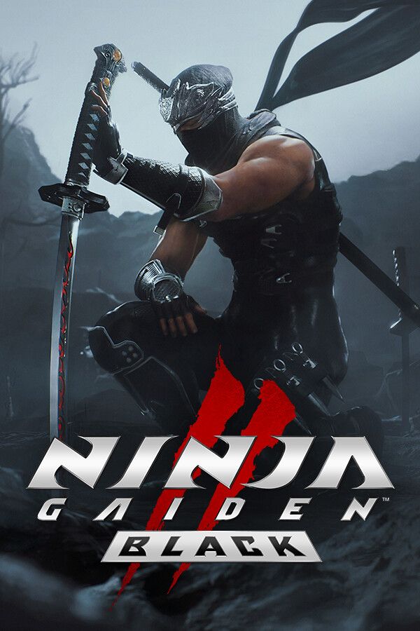 ninja-gaiden-2-black-tag-image.jpg