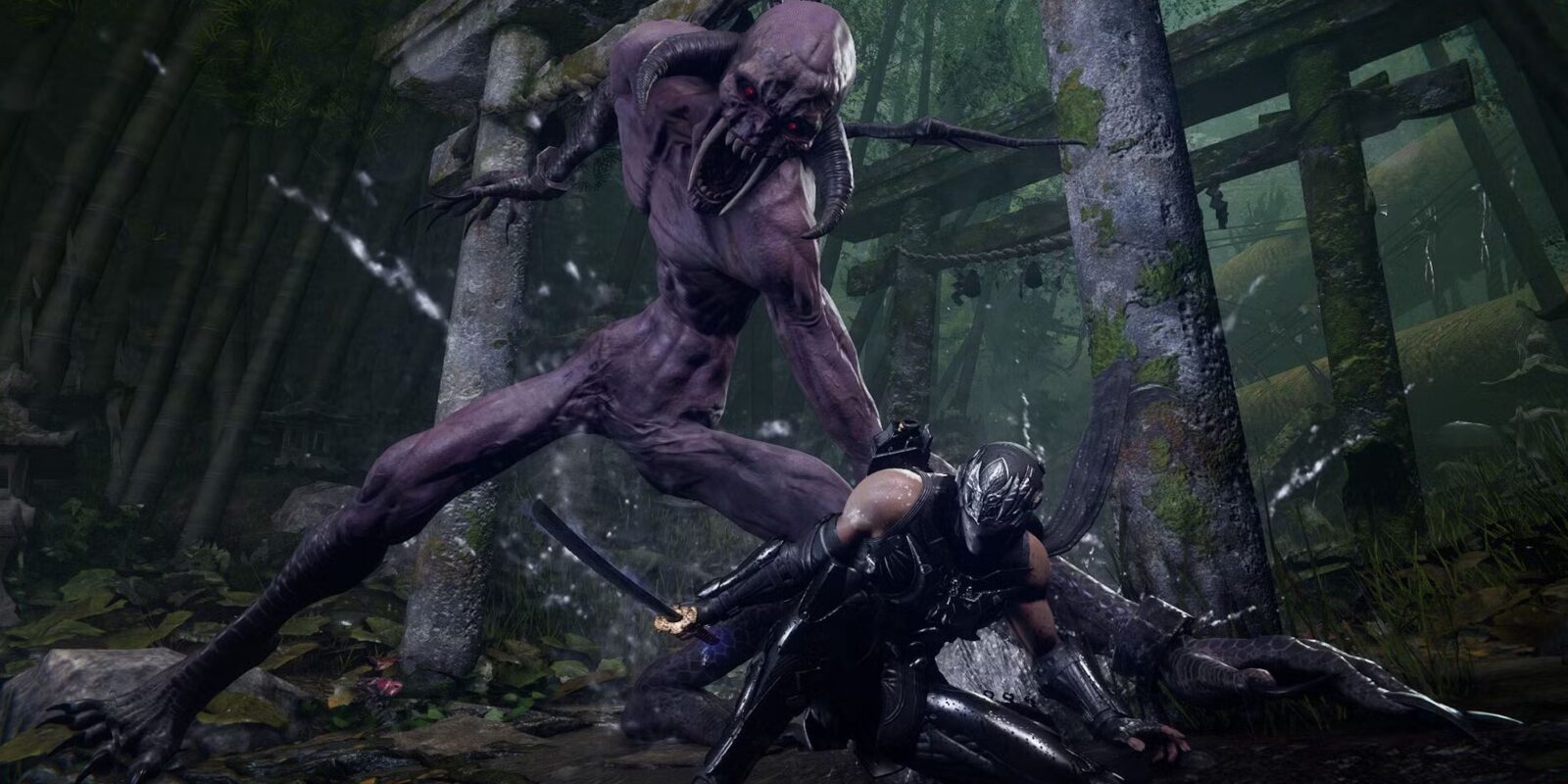 Ninja Gaiden 4 Collaboration Idea Credited to Phil Spencer