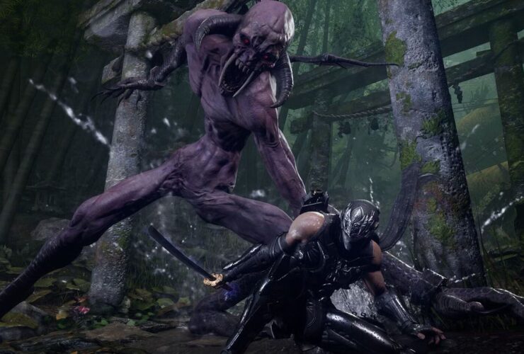 Ninja Gaiden 4 Collaboration Idea Credited to Phil Spencer