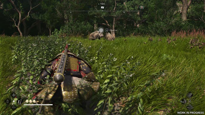 Yasuke crawls through long grass to observe two fighting boars in Assassin's Creed Shadows.