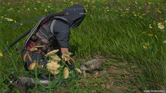 A female shinobi pets a tanuki pup in long grass in Assassin's Creed Shadows.