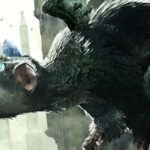 The Last Guardian Was Saved Thanks To Shuhei Yoshida