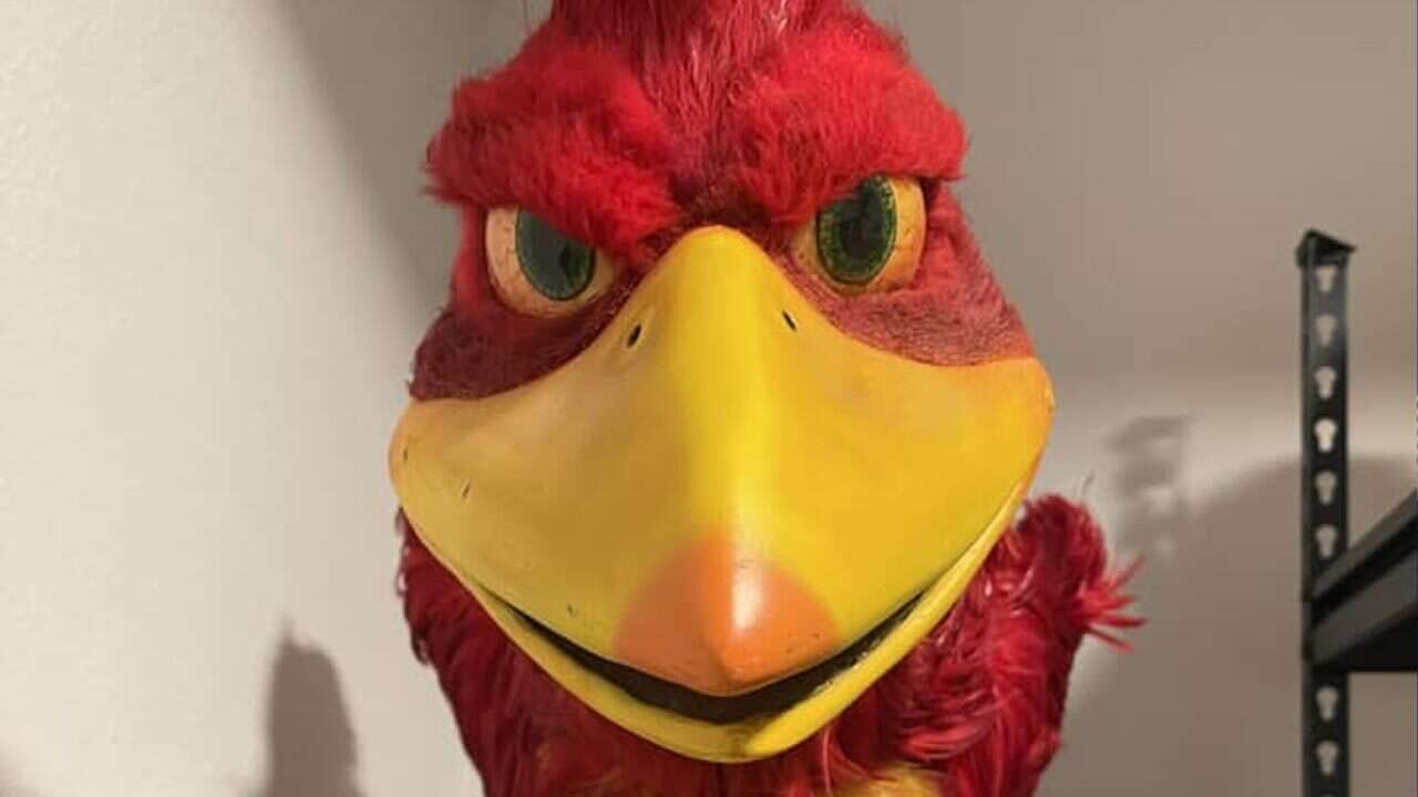 Someone Paid $2,100 For This Nightmare Fuel Banjo-Kazooie Puppet