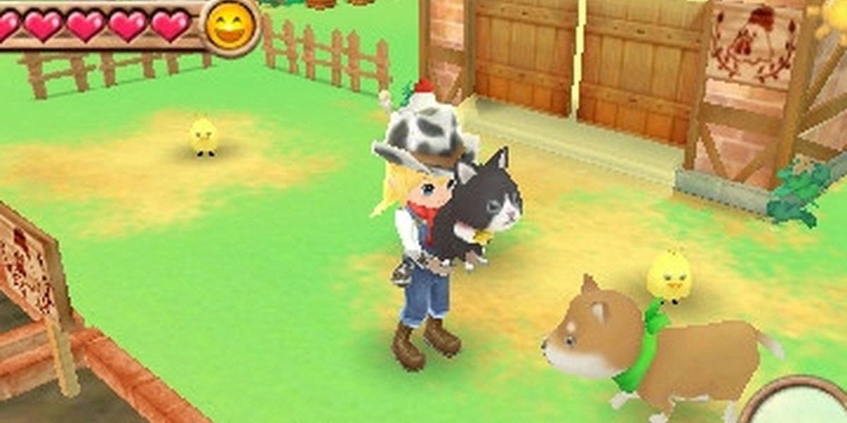 The player is holding a dog in Harvest Moon a New Beginning.