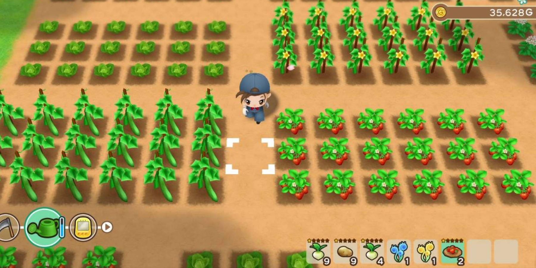 The character is walking in the fields in Story of Seasons: Friends of Mineral Town.